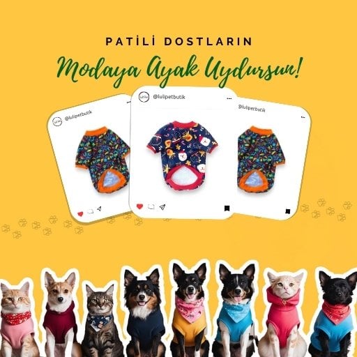 Lulipet Köpek Kıyafetleri