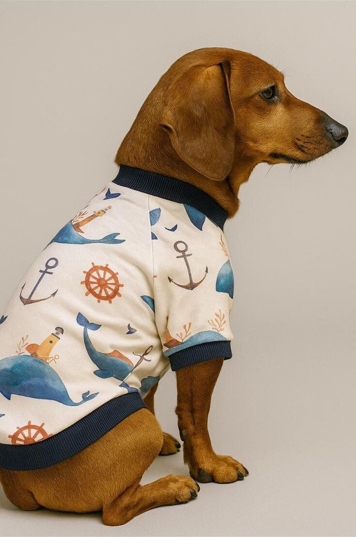 Balina Desenli Köpek T-shirt