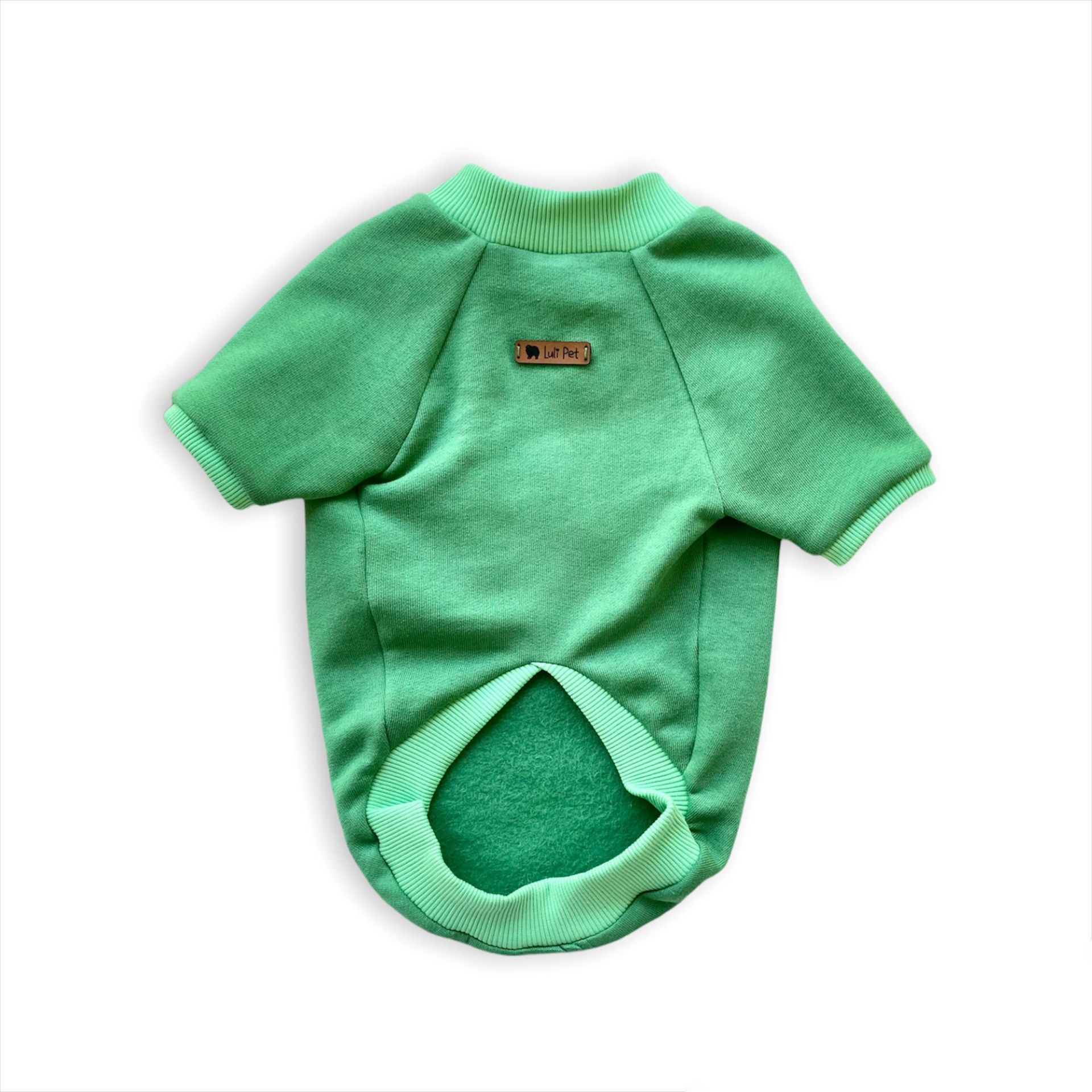 Basic Yeşil Köpek Sweatshirt