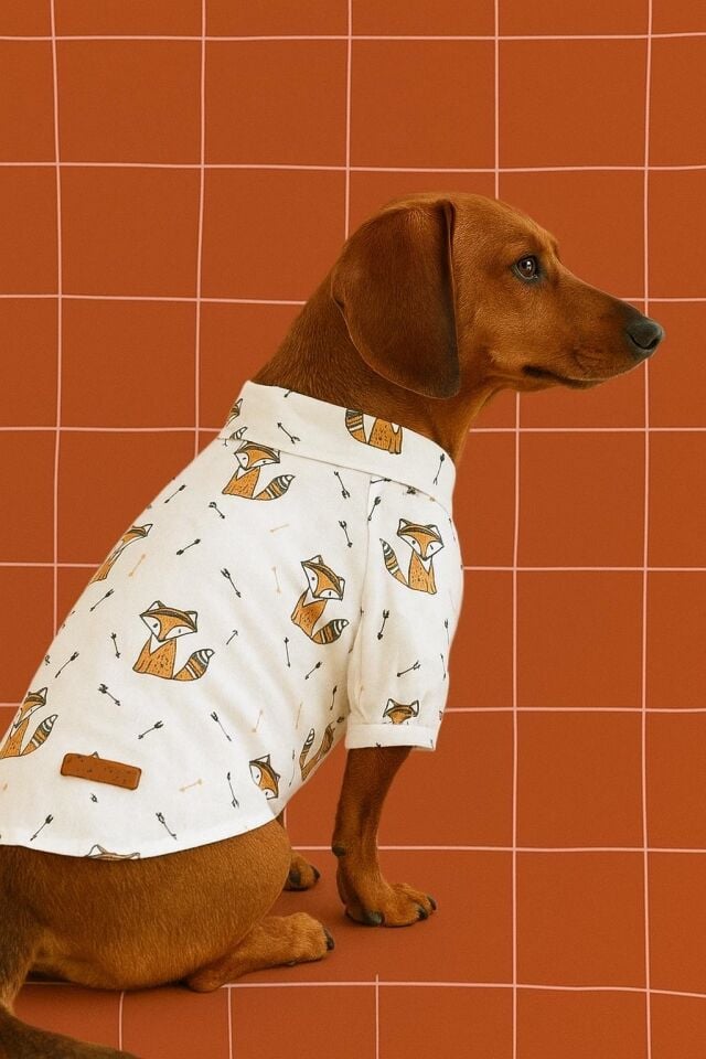 Fox Köpek Gömleği