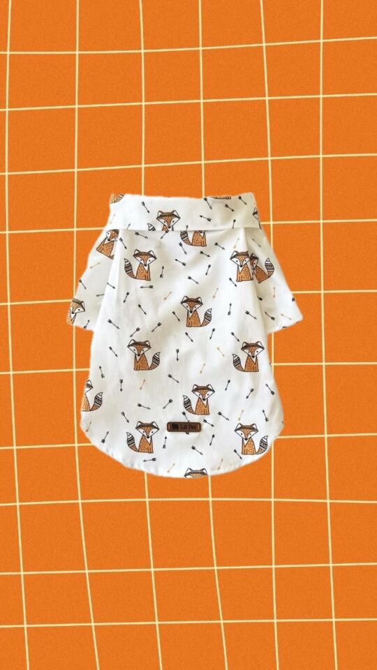 Fox Köpek Gömleği
