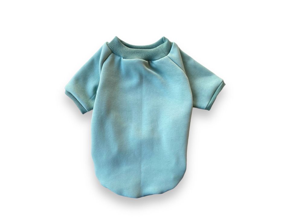 Mint Polarlı Köpek Sweatshirt