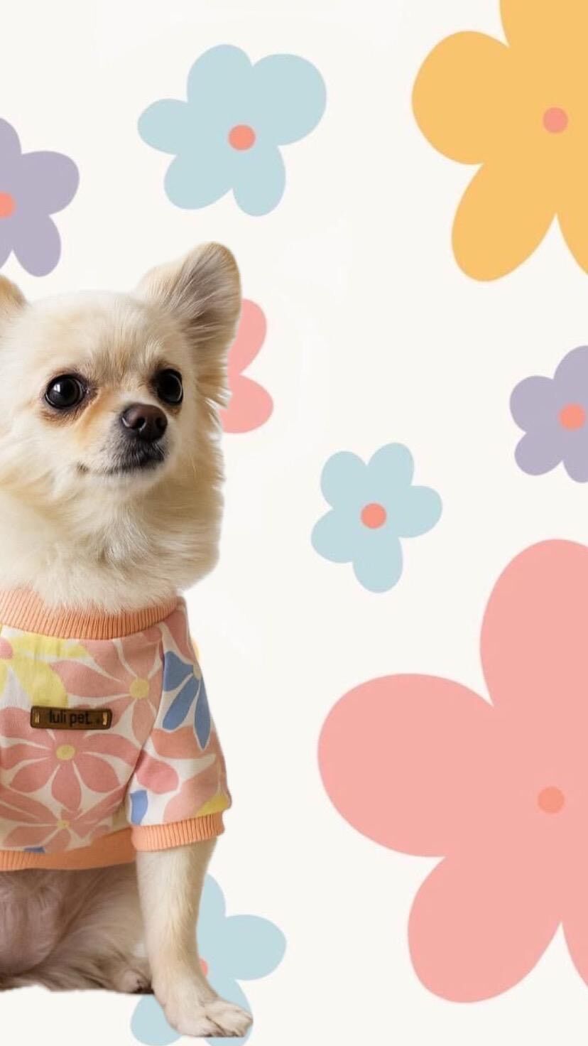 Çiçek Desenli Köpek T-shirt